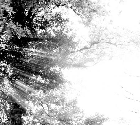 la distance